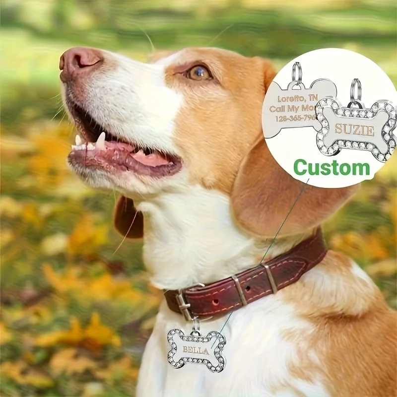 

Personalized Dog ID Tag, Custom Engraved, Stainless Steel Pet Name Tag, Cat Collar Accessory for Small, Medium and Large Cat Cat