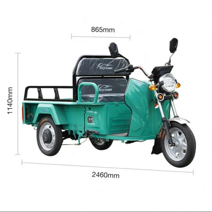 Support EEC Hot Selling New Style Adult 3 Wheel Tricycle Elderly Leisure Three-Wheel Electric Mobility Vehicle