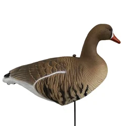 Fullbody Specklebelly Decoys