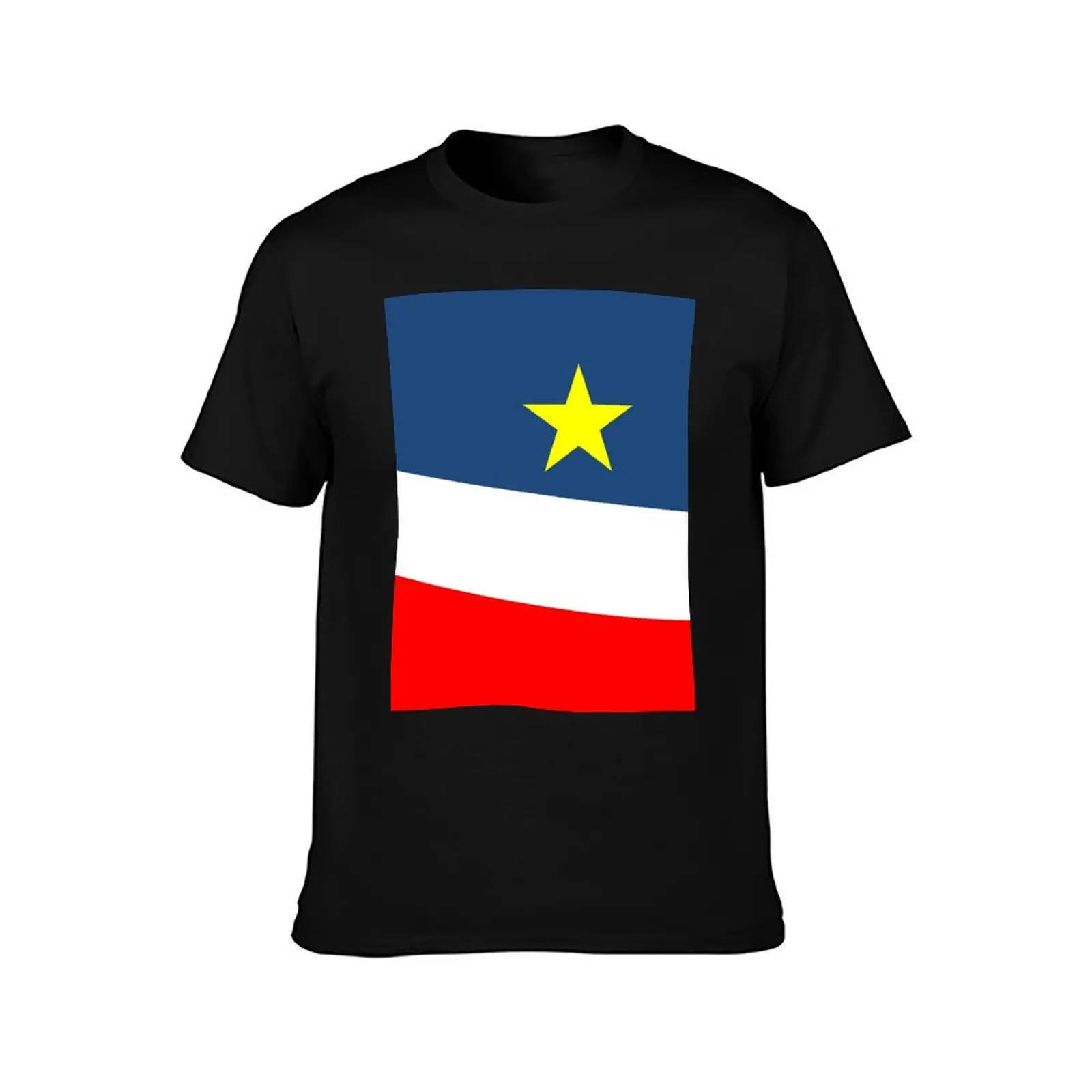 Acadian Flag - Drapeau acadien T-Shirt tops anime tshirt street wear tee shirts for men