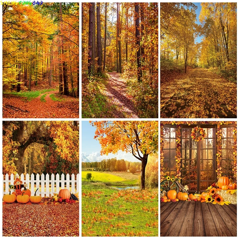 

Autumn Forest Nature Scenery Backdrop for Photography Fall Maples Leaves Tree Field Path Adult Portrait Photo Background Banner