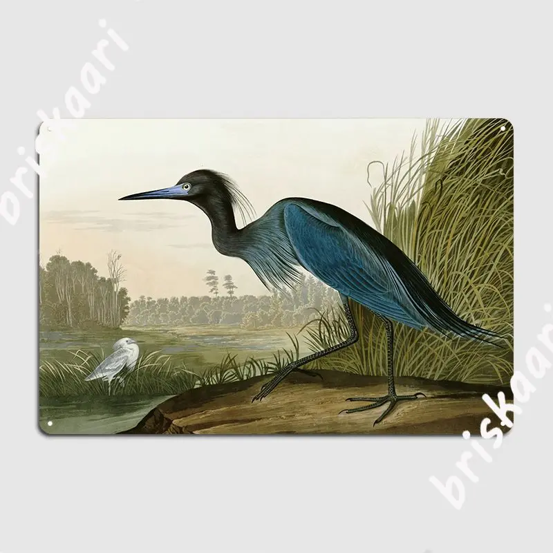 Little Blue Heron John James Audubon S Birds Of America Metal Sign Retro Wall Decor Cinema Tin Sign Poster