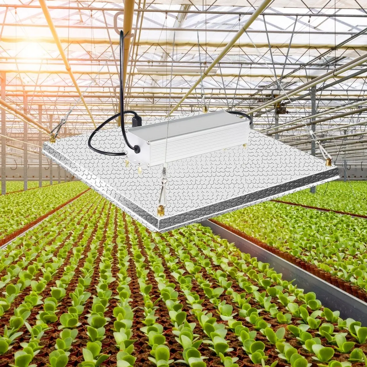 Commercial led grow light Horticulture Cultivation 1000W IP45 Greenhouse hydroponic grow light uv ir