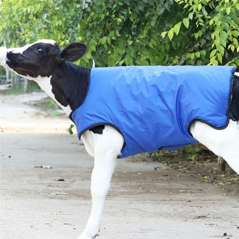 

Водонепроницаемое защитное одеяло для скота, мягкая ветрозащитная теплая куртка для теленка, утолщенная куртка для защиты икры-B61B