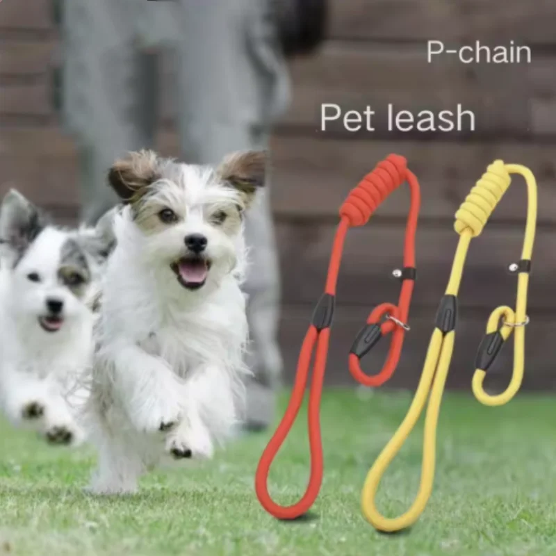 Heavy Duty Nylon Dog Leash Slip Chain Collar Lead for Small Dogs Puppy No Pull Pet Training Traction Rope Strong