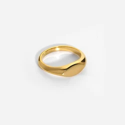 New Stainless Steel Signet Rings For Women Grils PVD 18K Gold Plated Metallic Geometric Stacker Ring Gift Tarnish Free Jewelry