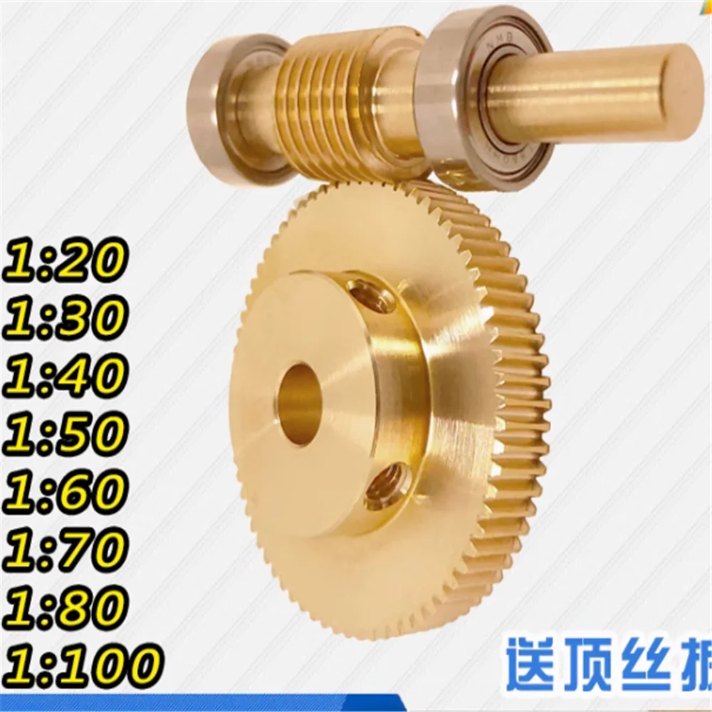 0.5M Precision Turbine Worm Gear Set 1:20/30/40/50/60/70/80/100 Teeth Stainless Steel Worm Copper Gear Accessories