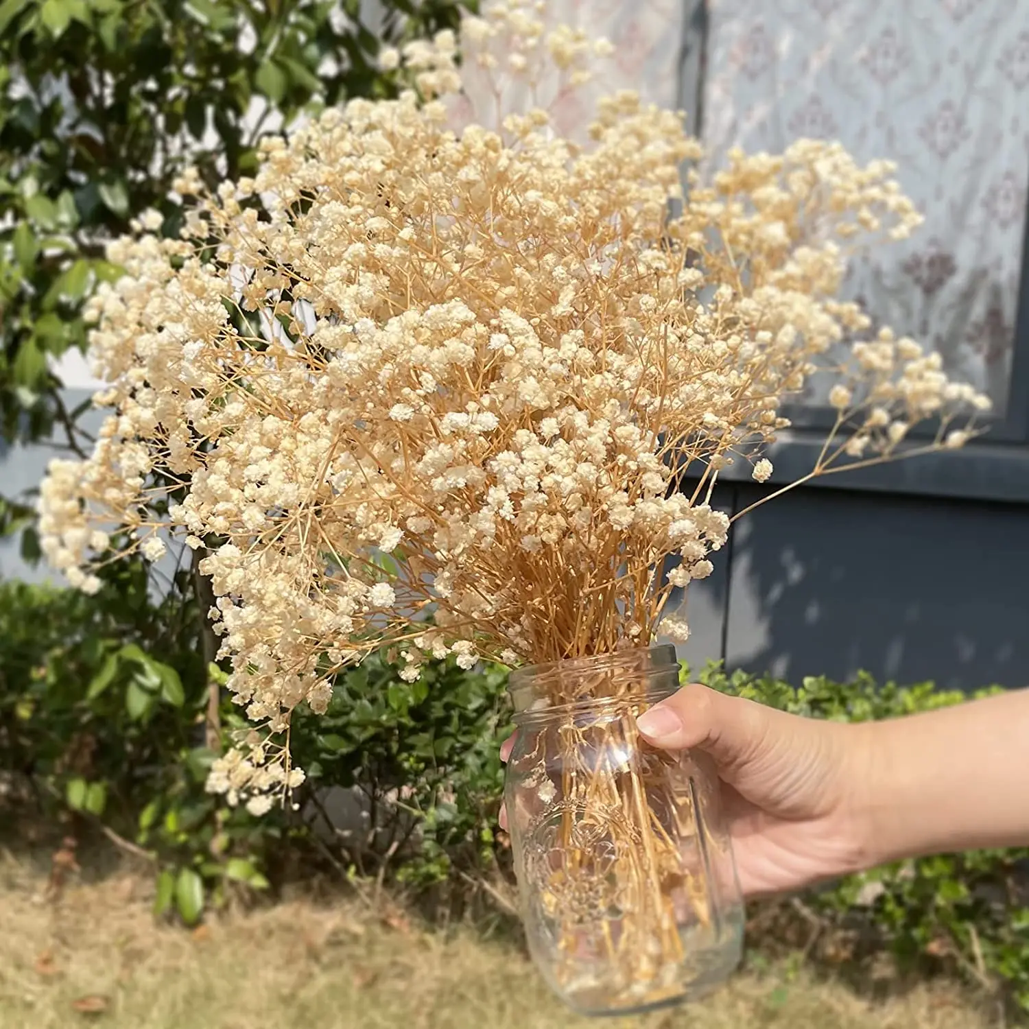 

Dried Baby Breath Flowers Gypsophile Natural Dry Flower Gypsophila for Wedding Birthday Party Home Office Decoration Nordic