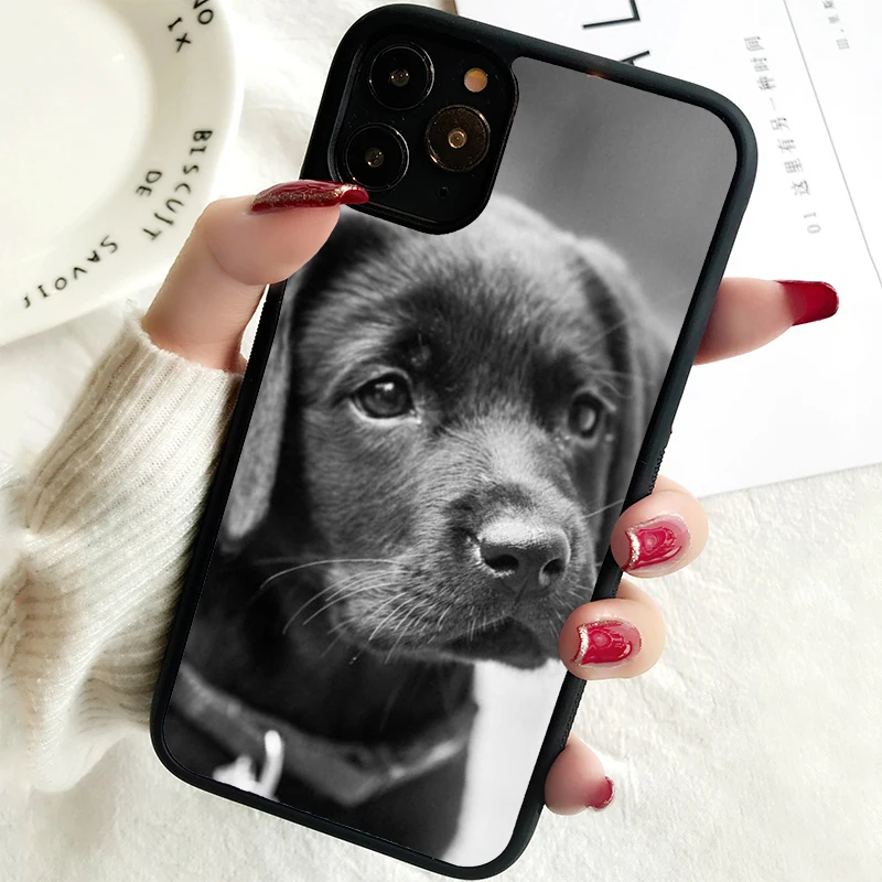 Funda de teléfono 5 5S SE 2020 para iPhone, 6, 6S, 7, 8 PLUS, X, XS, XR, 11, 12, 13, MINI, 14 PRO MAX, de goma, perro mascota, labrador, retriever