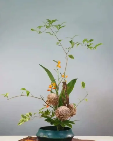 

Tuya WIFI Smart Door Window Magnetic Detector Home Anti-theft Door Iron Rolling Door Sensor Security Alarm Open Closed Detector