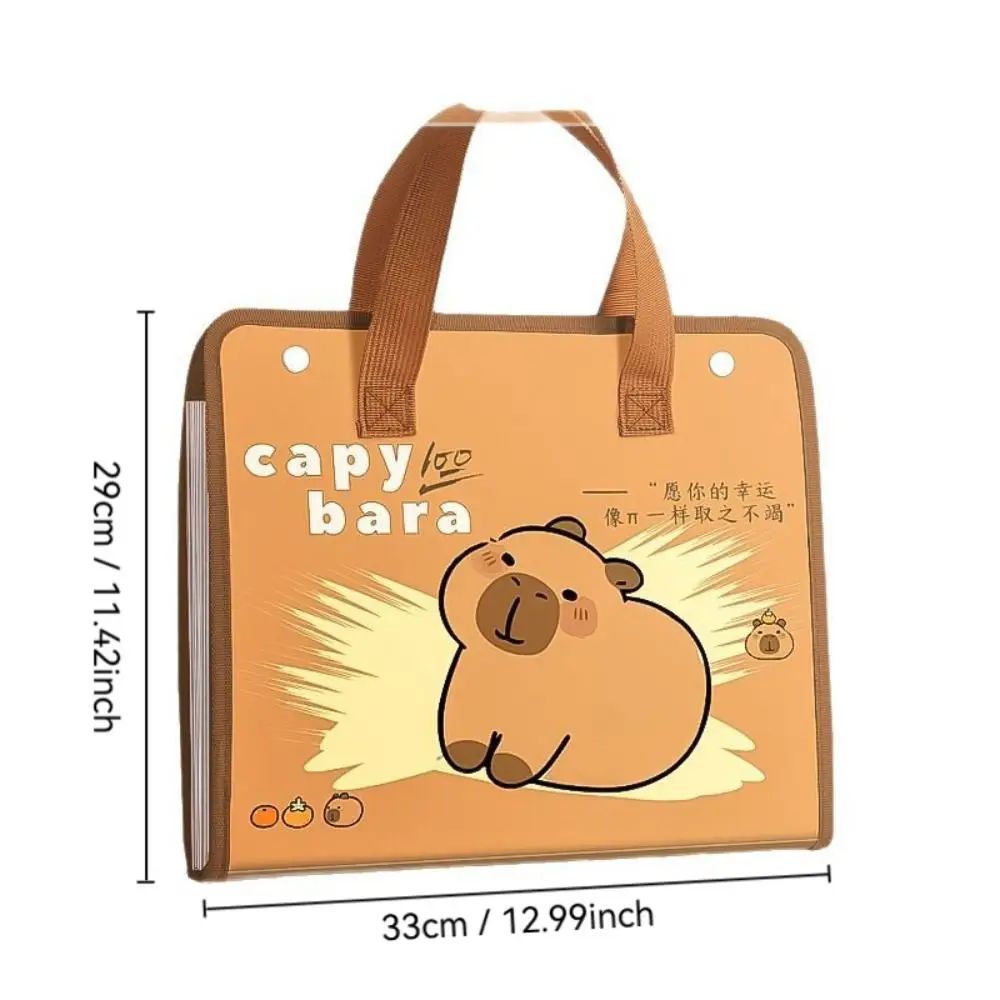 Cute Capybara A4 File Folder Large Capacity Waterproof Test Paper Storage Folder 13 Pockets Cartoon File Organizer Students