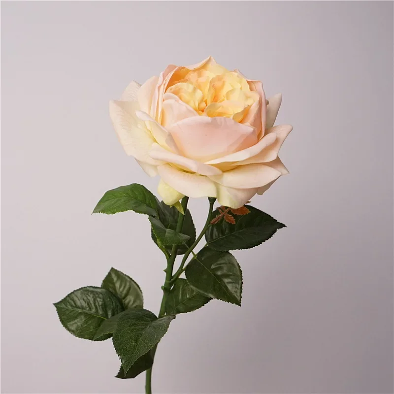 5 Stück Feuchtigkeitsspendende Austin Latex-Rosen, Künstliche Blumen mit Echtem Touch, Luxuriöse Heimdekoration, Party, Event, Hochzeit, Rosen-Blumenstrauß – Detail 10