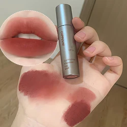 Single Velvet Matte Mist Lip Gloss,Waterproof Non-Stick Cup Lip Glaze Smudge Proof Not Fade Liquid Lipstick