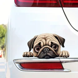 DK114# The Pug Lying on the Window Car Stickers Funny Creative Waterproof Vinyl Decal Motorcycle Decorative Accessories