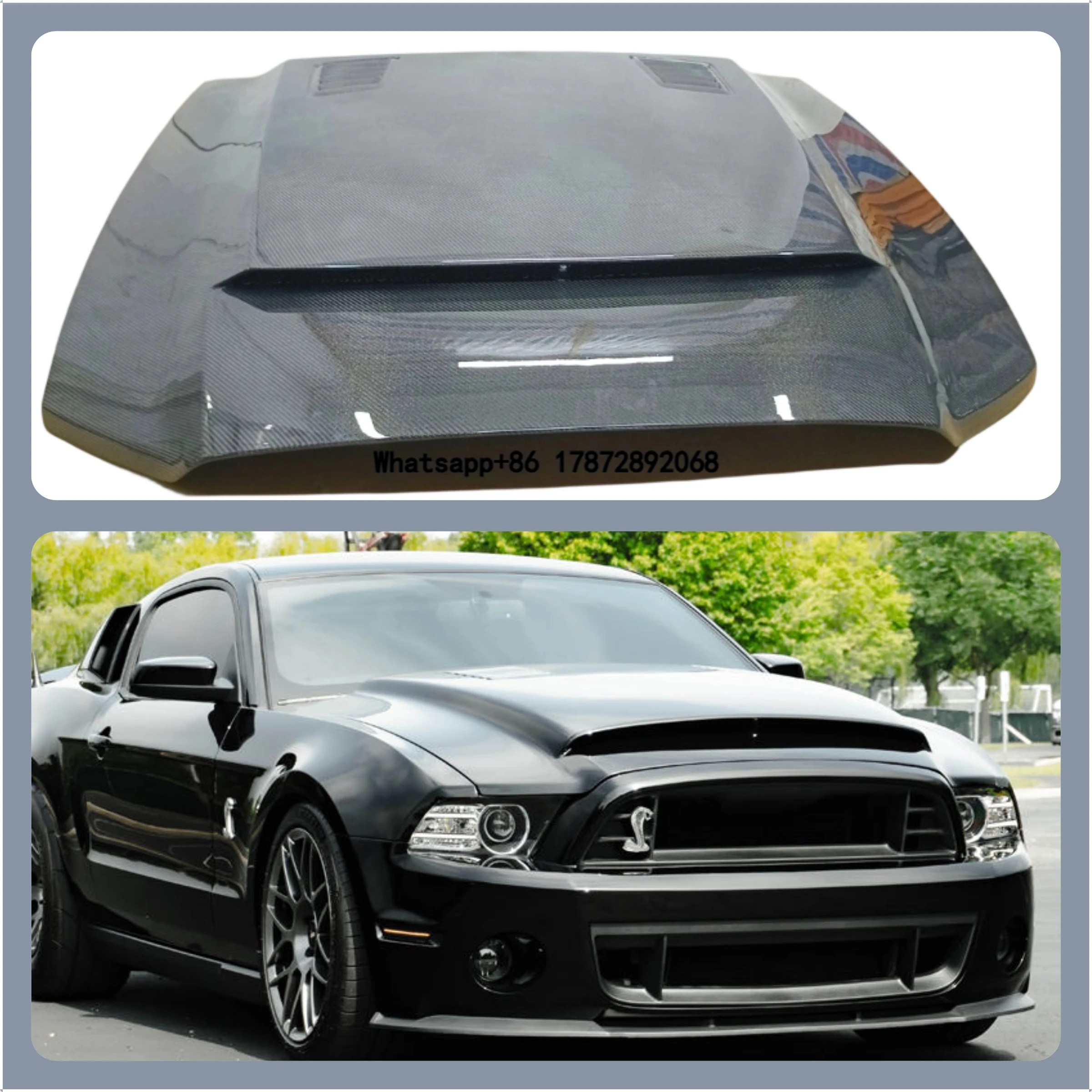 

Mustang Carbon Fiber Engine Casing Hood for 2013