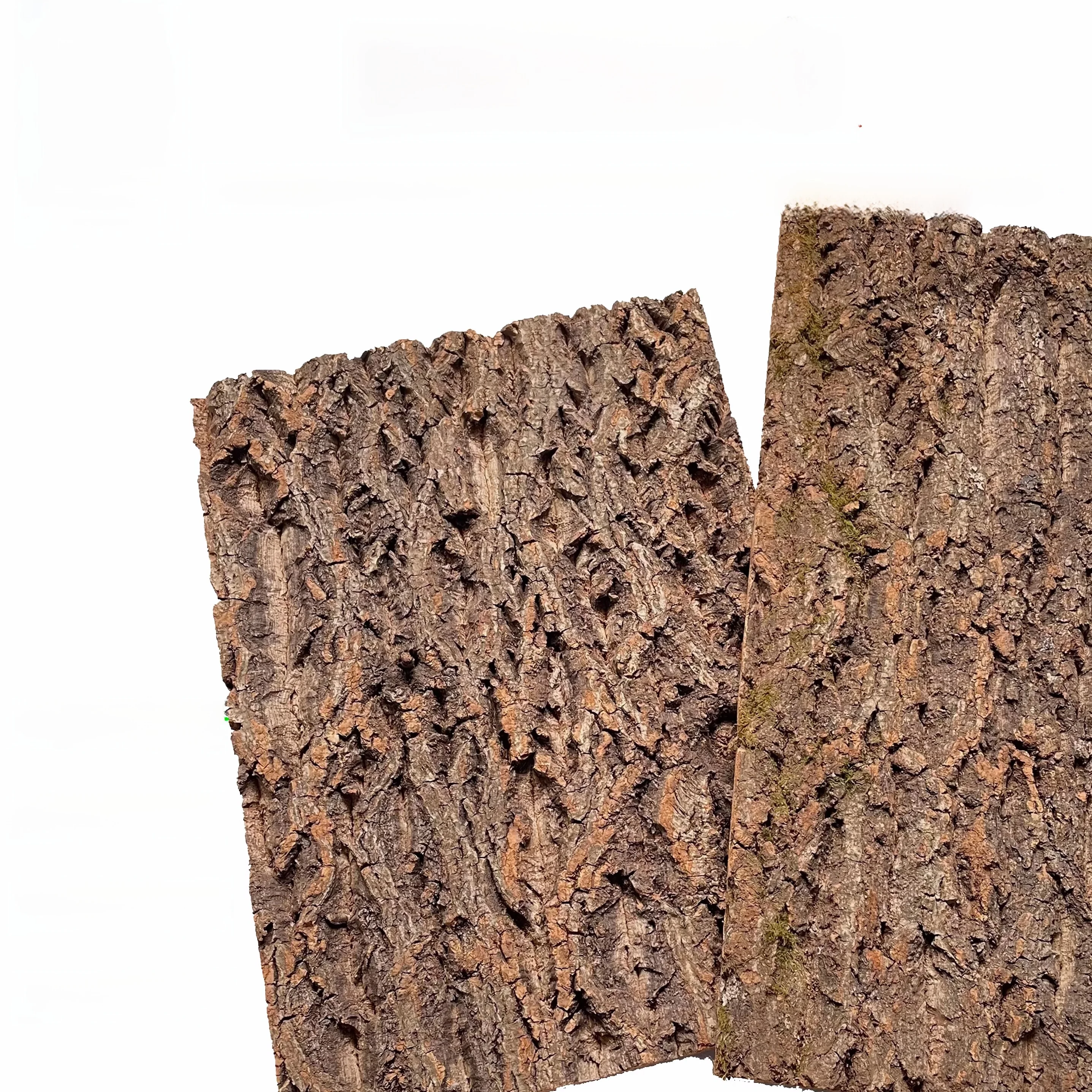 �y�Z�[�����z�{���̃R���N�̖؂̔�̕Ǐ��� �����̌i�σf�U�C�� �V�����p���c���[�̔�̏_�炩���؂̕ǃX�e�b�J�[ ���^���N�̑����p