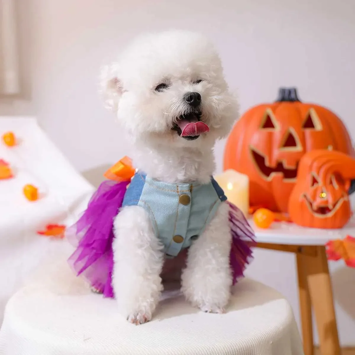 1PC Schrulliger Kürbisrock Haustierkleidung Hund Katze Herbst Halloween Orange Schleife Ärmelloses Hochzeitskleid