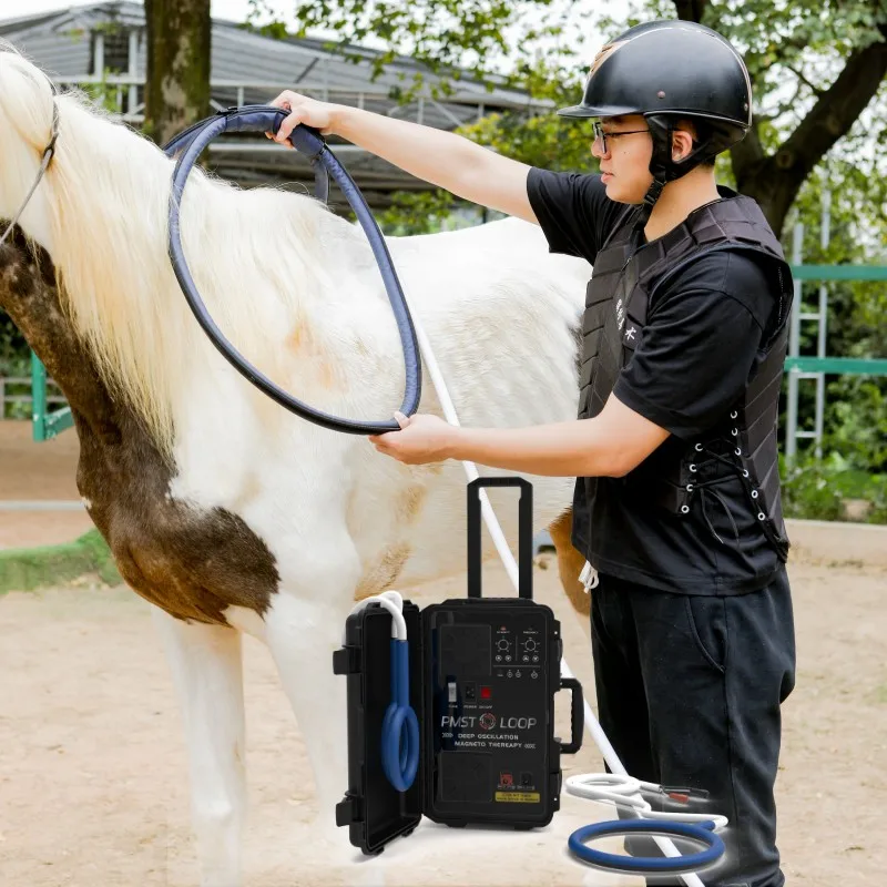 

PMST LOOP PEMF Horse Equine Shoulder Double Wings Pulsed Electromagnetic Field Injury Health Therapy