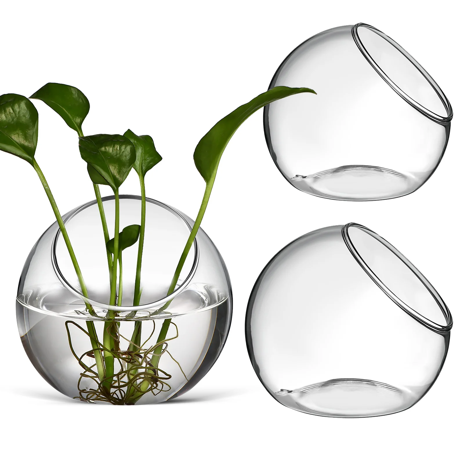 

3Pcs Transparent Glass Terrarium Vases Air Plant Holders Round Bowls for Desktop Garden Decoration Air Plant Terrarium