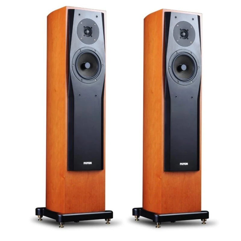 

P728 Hi-end Loudspeakers High Fidelity Home Theater ETON Midrange Speaker Vifa Tweeter 80w 8 Ohm