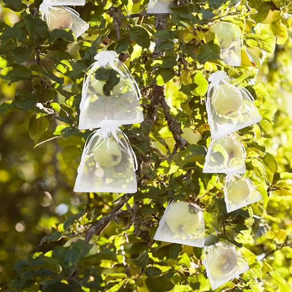 50Pcs Fruit Protect…