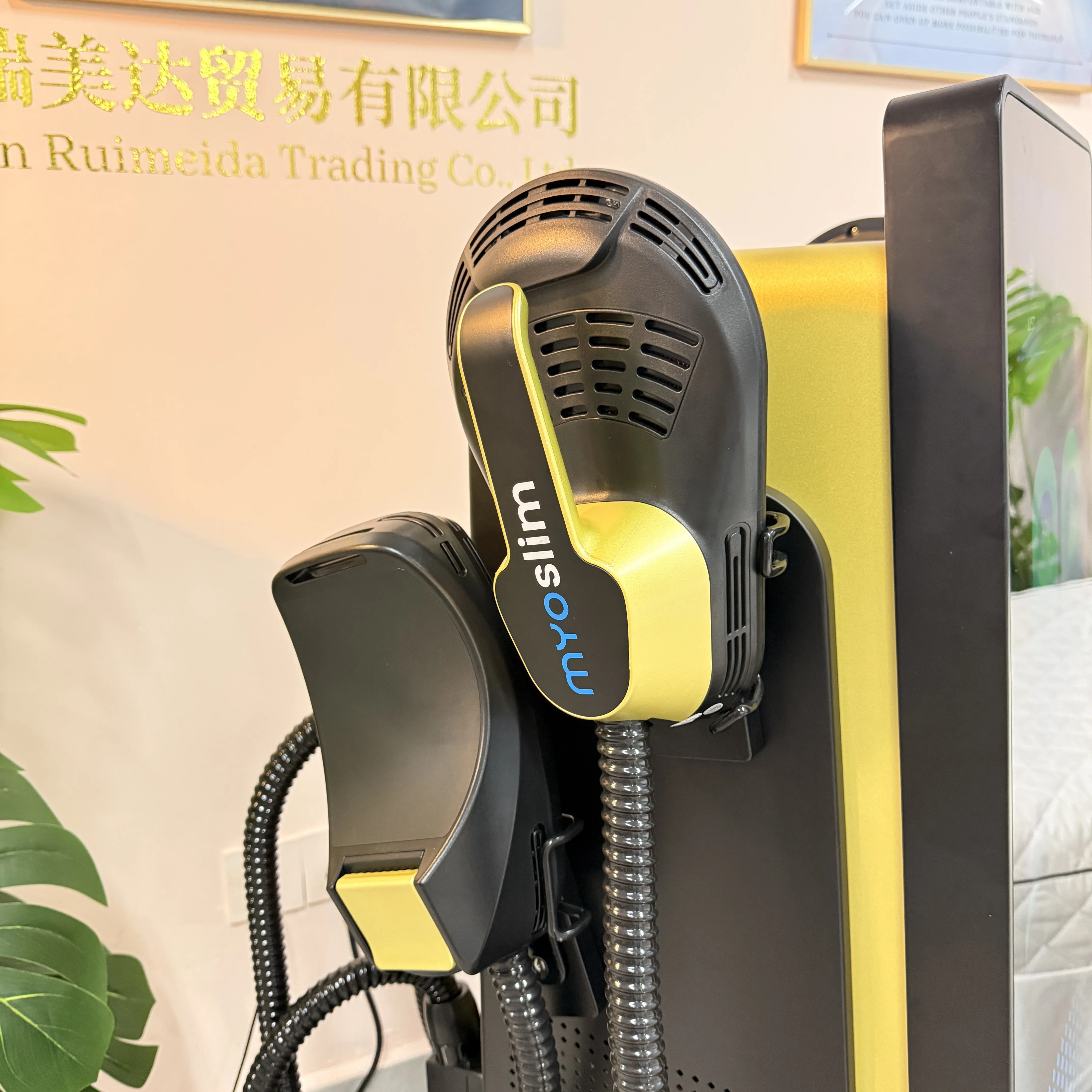 Therapeutic Beauty … - image