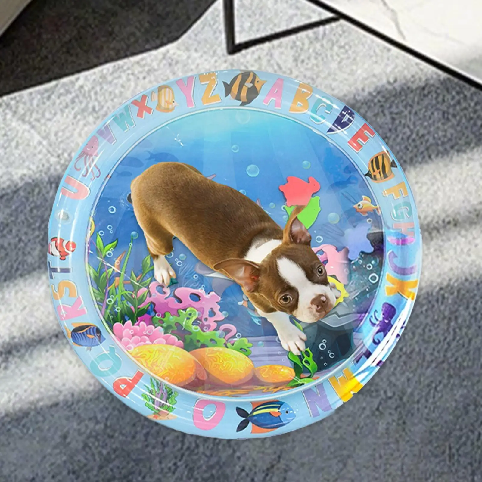 Water Mat For Cats …