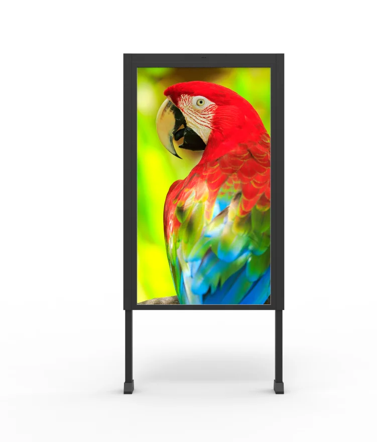 65 Inch 55 Inch Single Dual Side LCD Digital Signage High Brightness 2500 Nits Window Facing Advertising Android Player