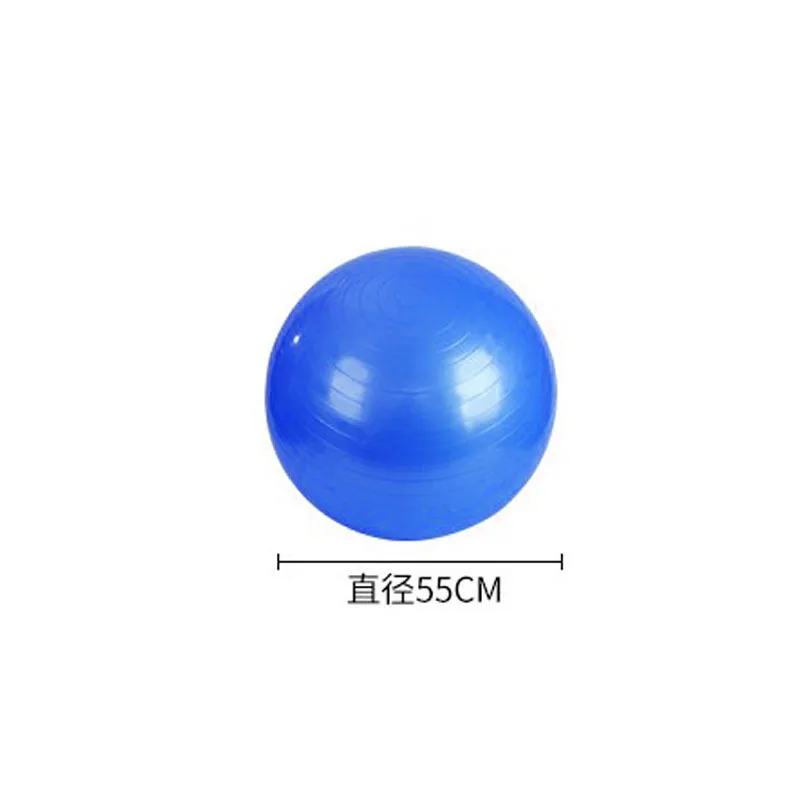 55cm Yoga Ball Exercise Gymnastic Fitness Pilates  Balance  Gym    Indoor Training   Core