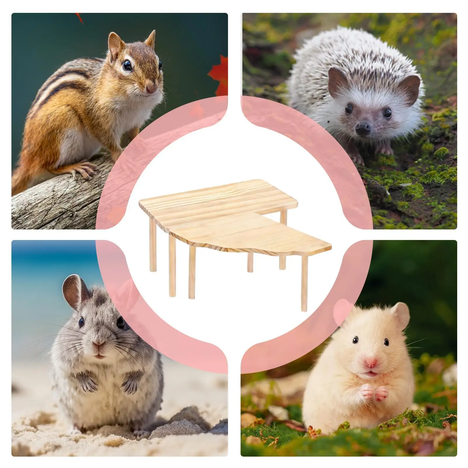 

Playground For Hamster Wooden Chinchilla Playing Chinchilla Gym System Set For Pet Parents Animal Lovers Shops Living Room