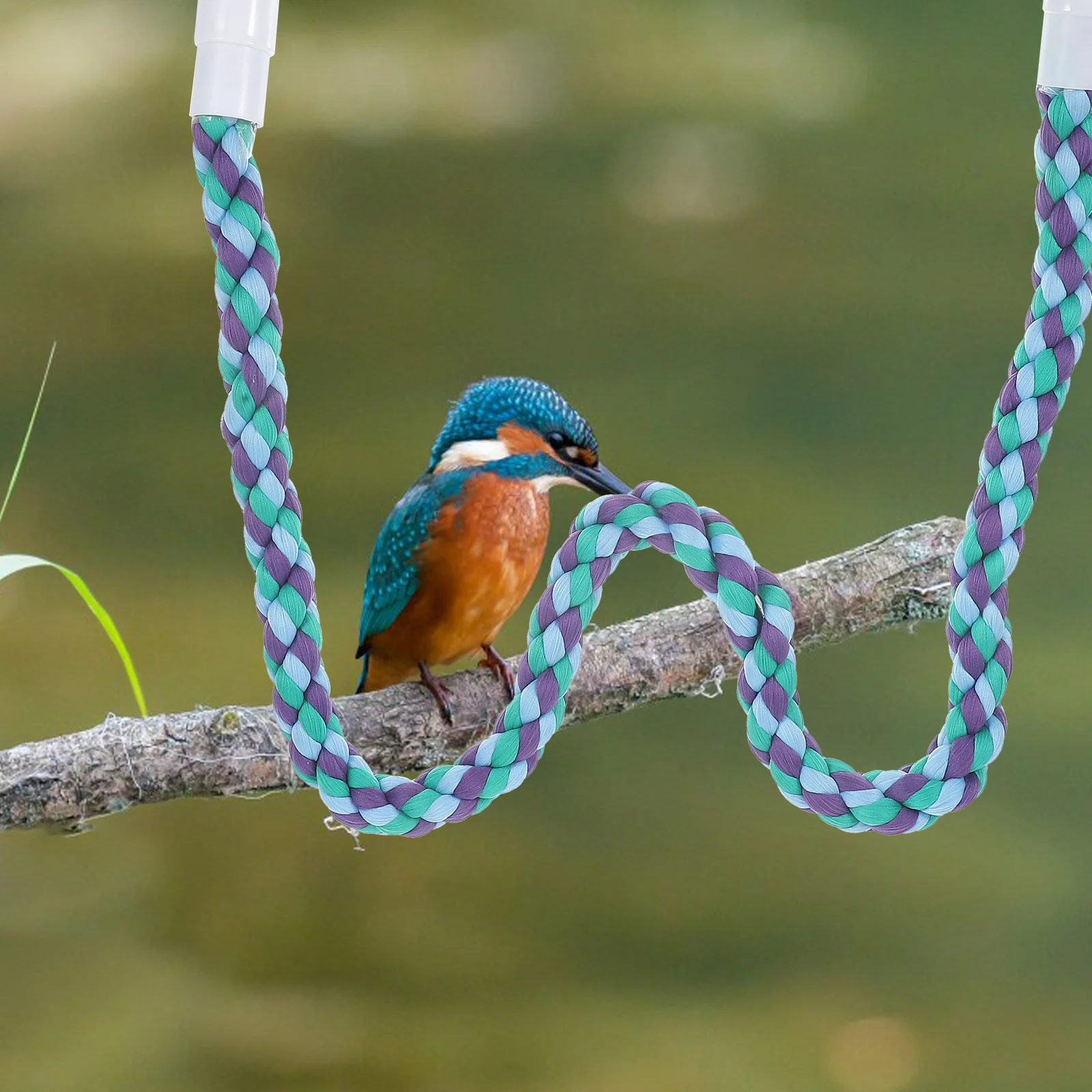 

80Cm Parrot Climbing Bird Bite Cotton Rope For Parrots Play Skill Development Pet Small Birds Parakeet Rope Toy