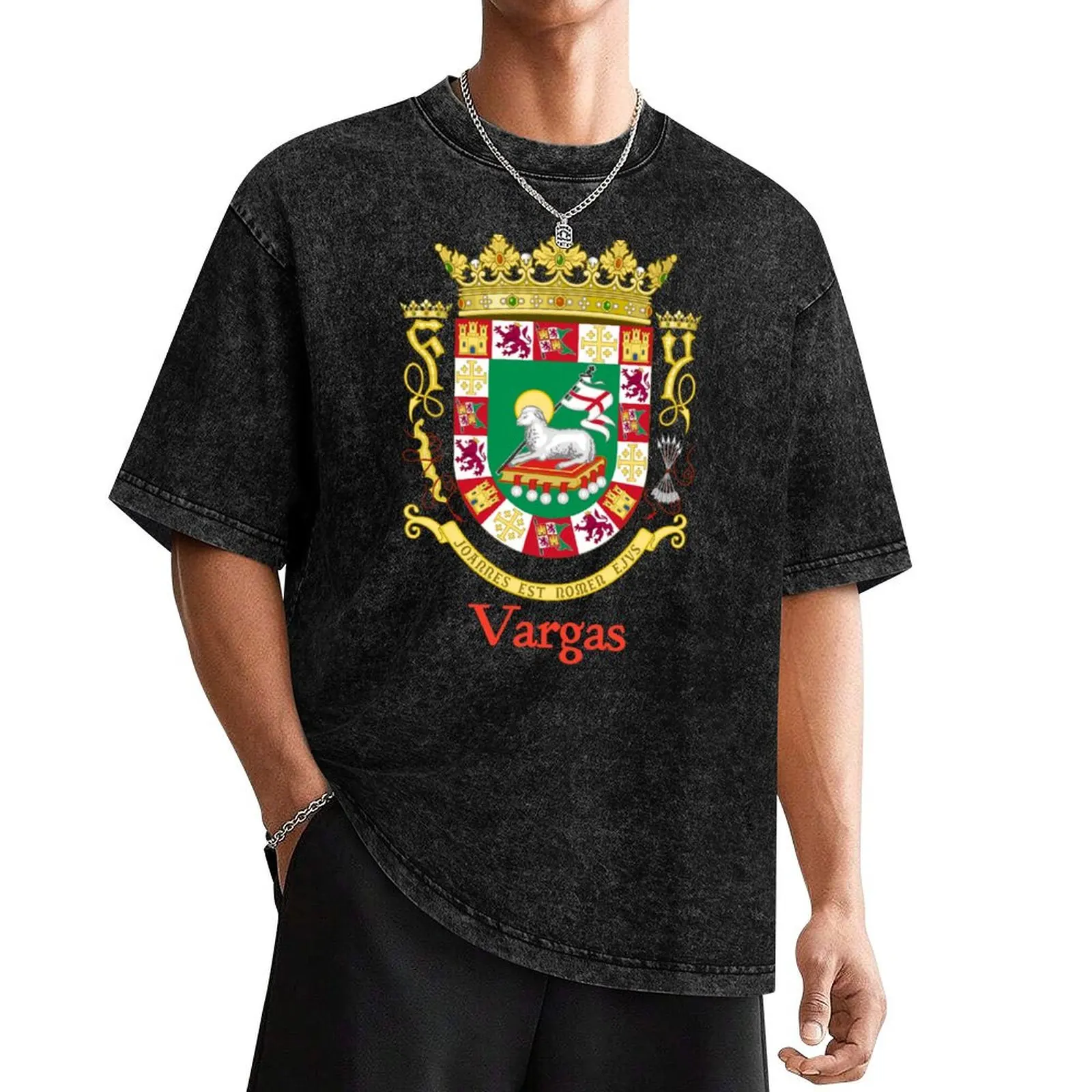 

Vargas Shield of Puerto Rico T-Shirt custom t shirt aesthetic clothes vintage t shirt men