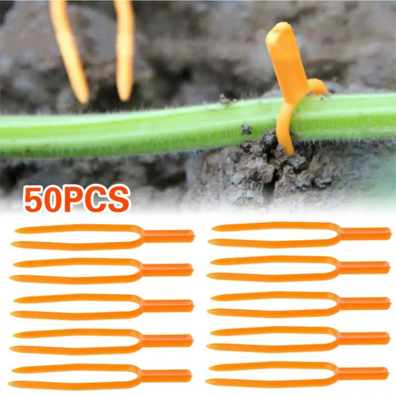 Strawberry Planting Fork 50pcs Dig Fork Reusable 65mm Farming Strawberry Fixing Clamp Clip Stem Creeping Holder For Gardening