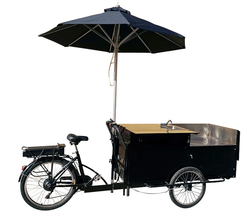 Ice Cream Vending Bicycle Coffee Electric 3 Wheel Tricycle with Freezer Pedal Assist Cold Drinks Juice Bicycle Commercial Food