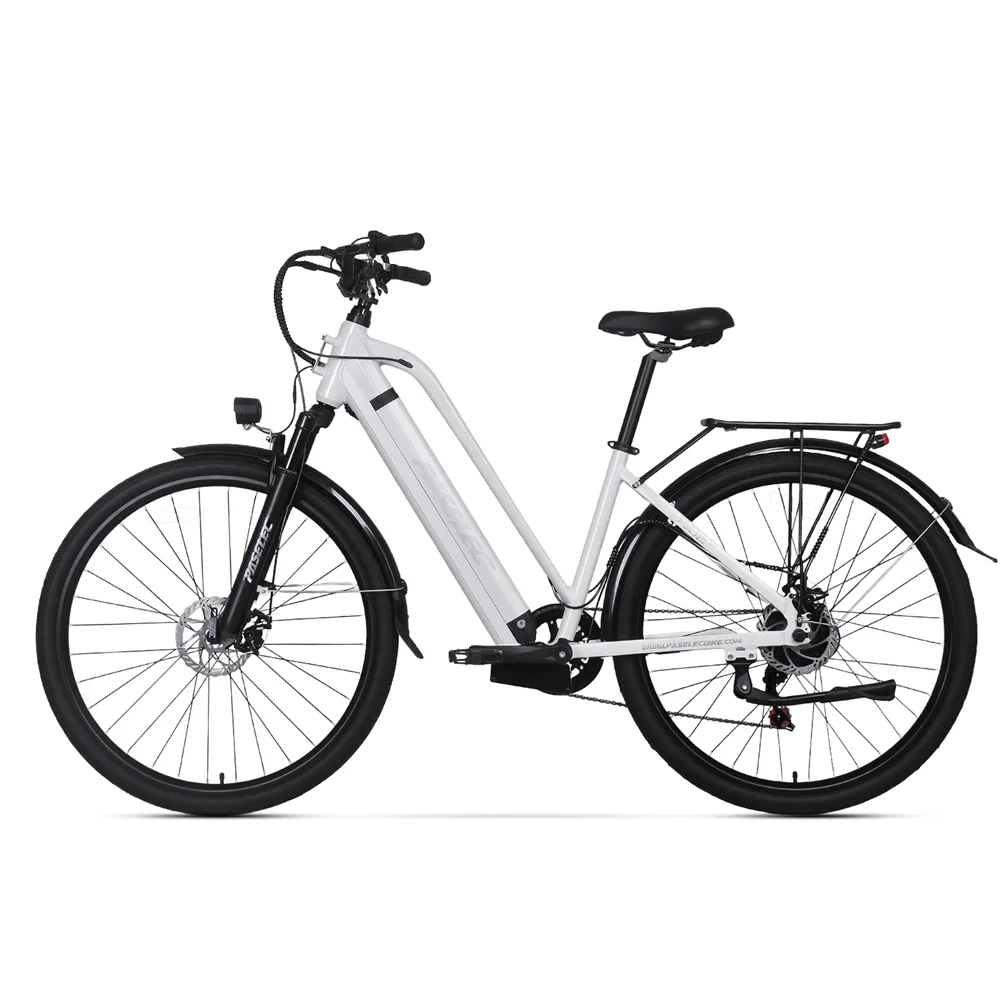 PASELEC TX10 Elektrofahrrad für Damen 48V 1000W 19,2Ah Erwachsenen-E-Bike 80KM Reichweite E-Bike 45KM/H Elektrisches Fahrrad 27,5 Zoll City E-Bike