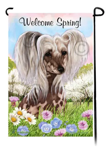 Chinese Crested Welcome Spring Garden Flag