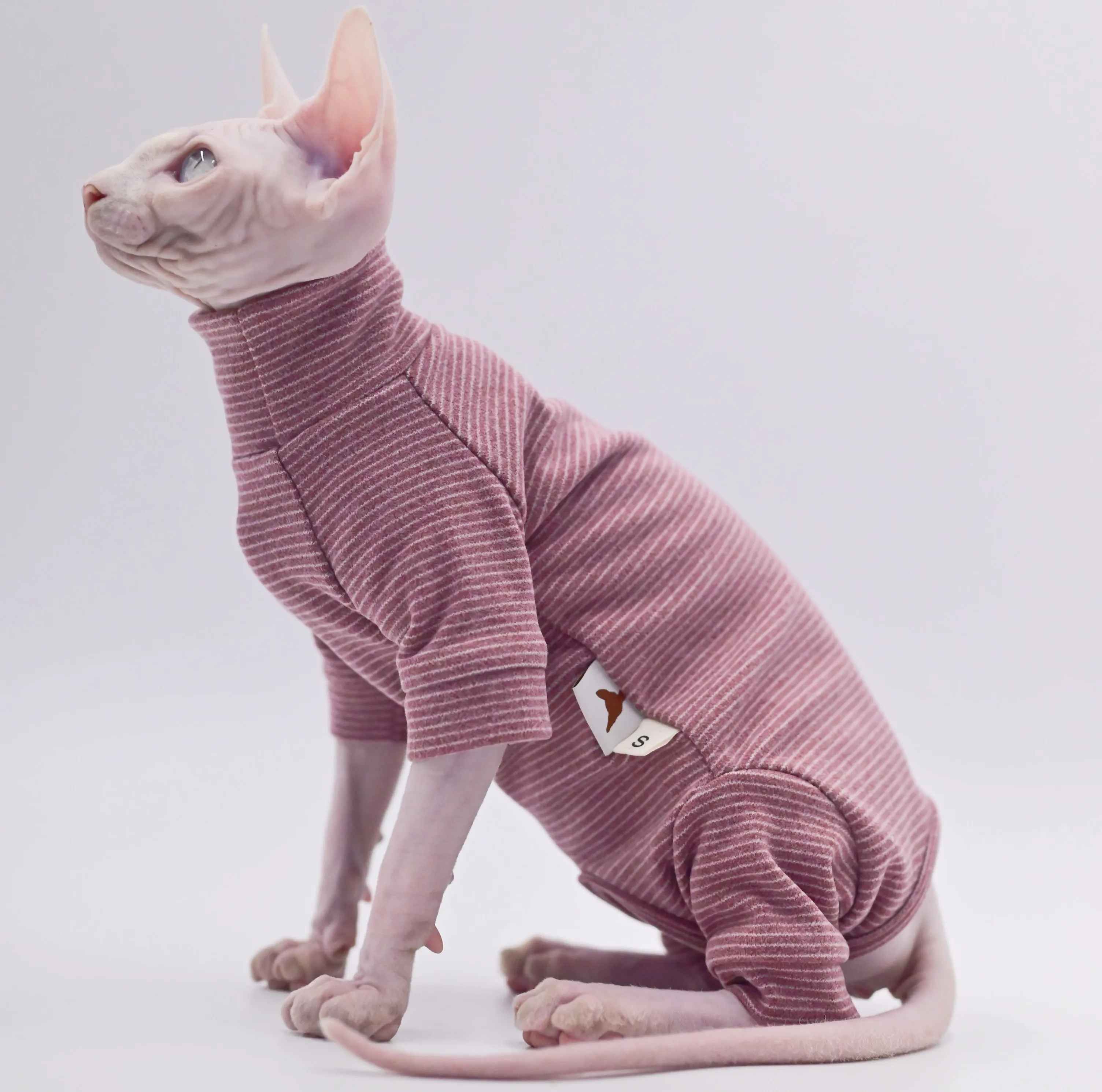 Roupas de gato sem pêlos com capuz de quatro pernas quente e macio para gatos Sphynx para outono e inverno para Devon Rex, Cornish