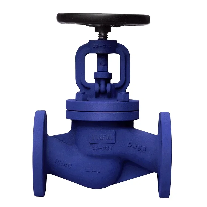 Valve WJ41H-16C Cast Steel High Temperature Steam Heat Conduction Oil Flange Bellows Globe Valve DN15-400