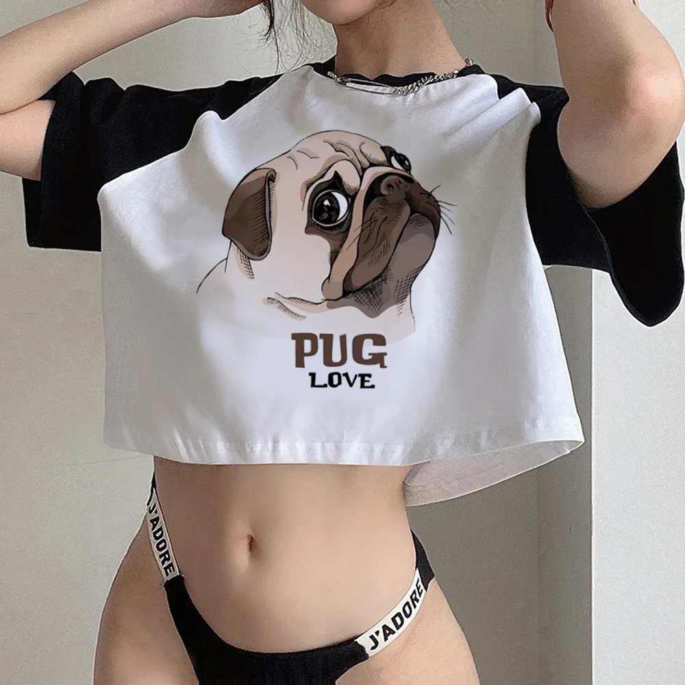 pug