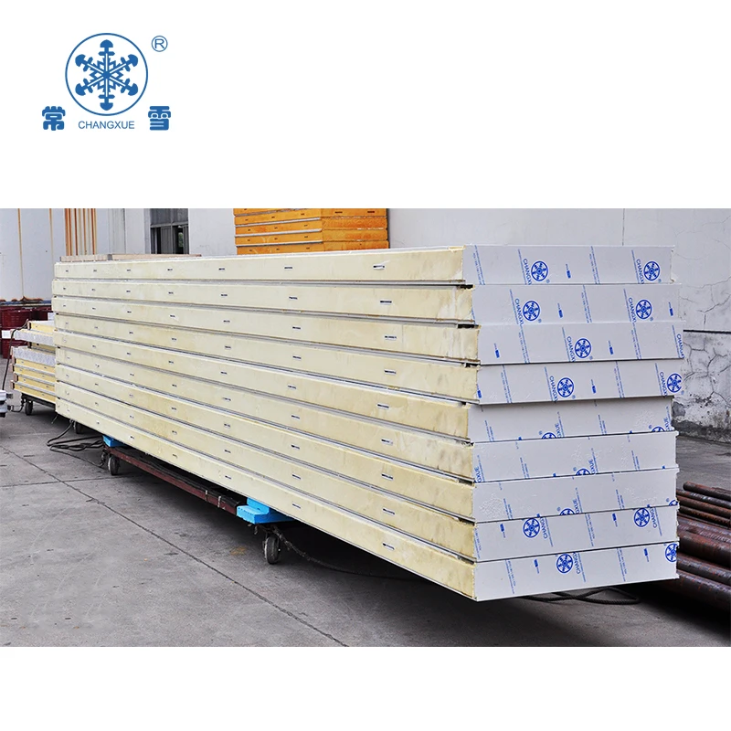 Camminata nella stanza del refrigeratore per stoccaggio del congelatore nella stanza fredda in vendita