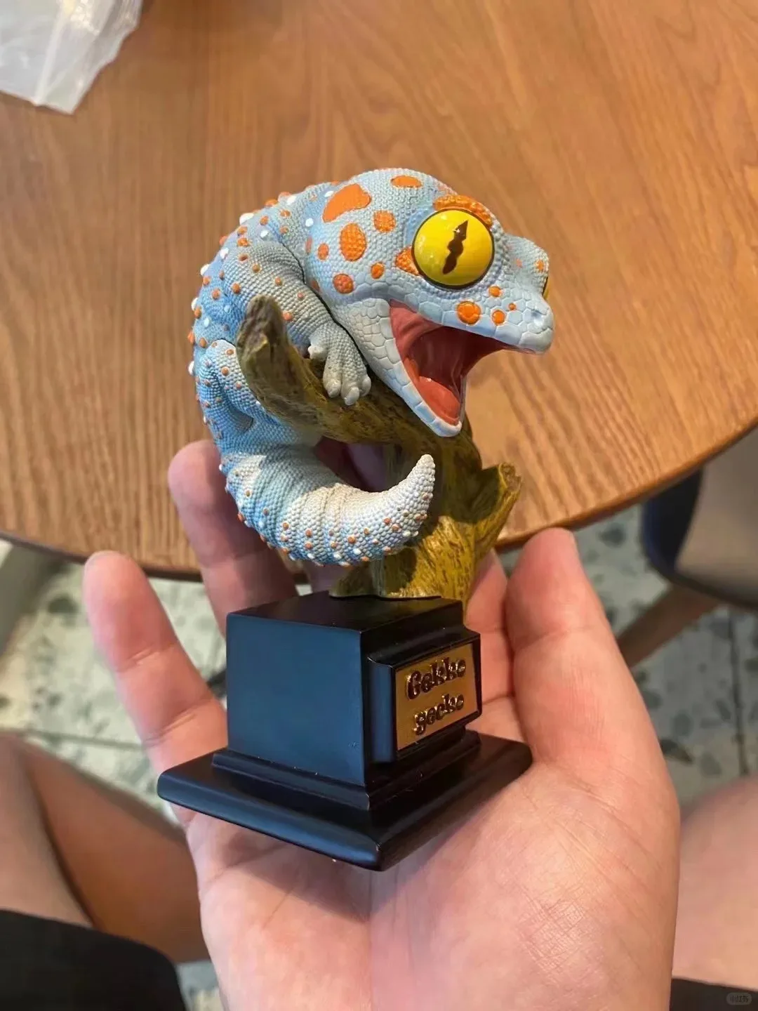 Livre d'histoire naturelle : Contes Gecko - Modèles Gecko (Figures d'animaux de reptiles) : Gecko léopard, Gecko géant, Gecko à queue de bouton