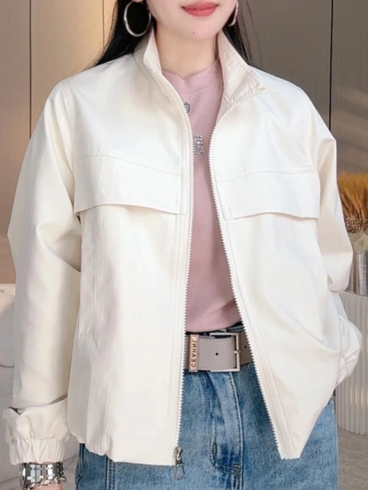 Fashionable Short Women's Jacket Spring Autumn 2026 New Loose Casual Stand Collar Windbreaker Zipper Closure Regular Sleeve