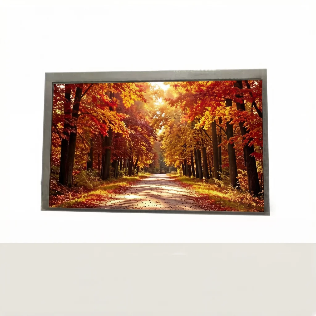 

Original 6.5-inch LCD touch display: C065VVN01, C065VVN01.4.