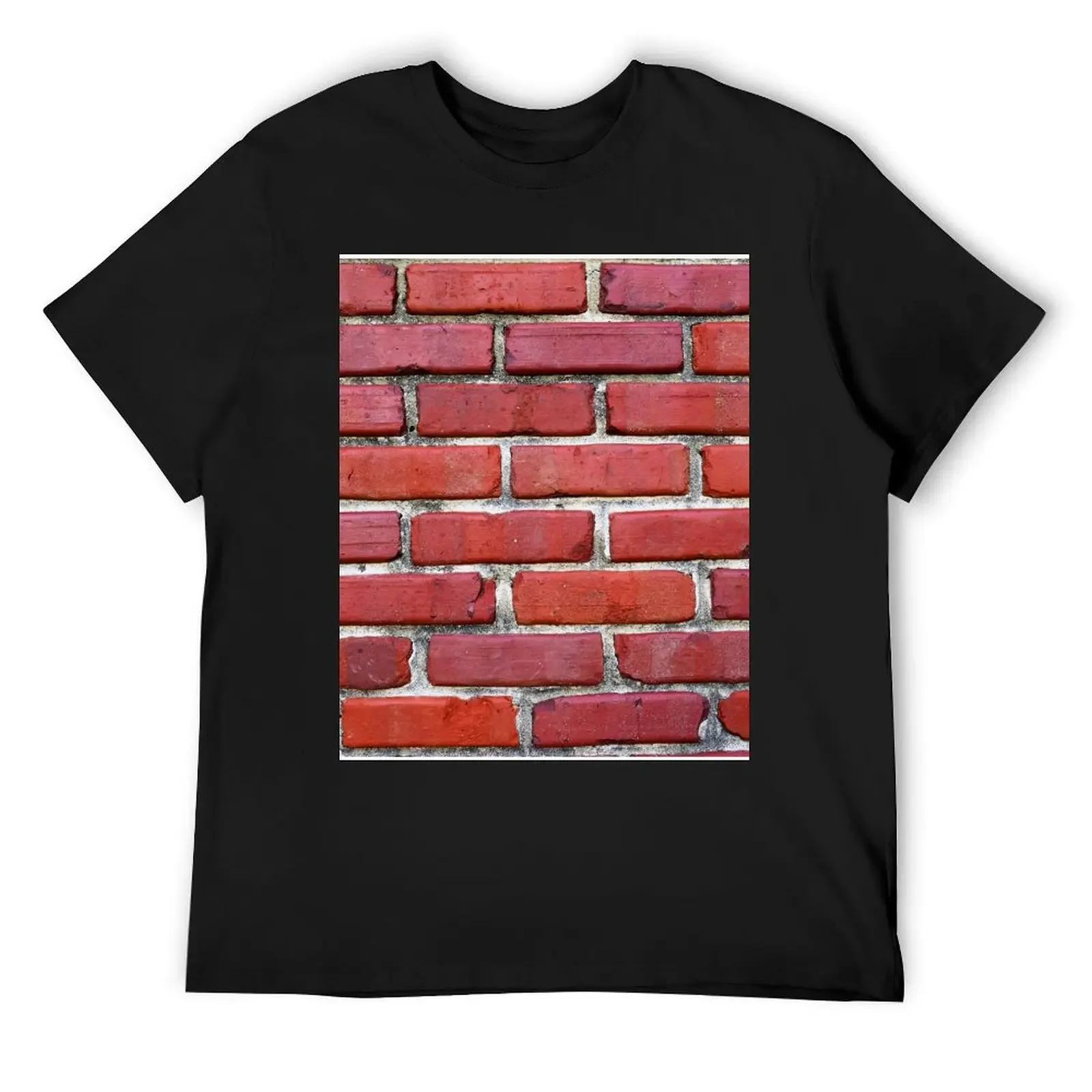 

Red Brick Wall T-Shirt anime stuff street wear graphic shirts oversized t shirts for men