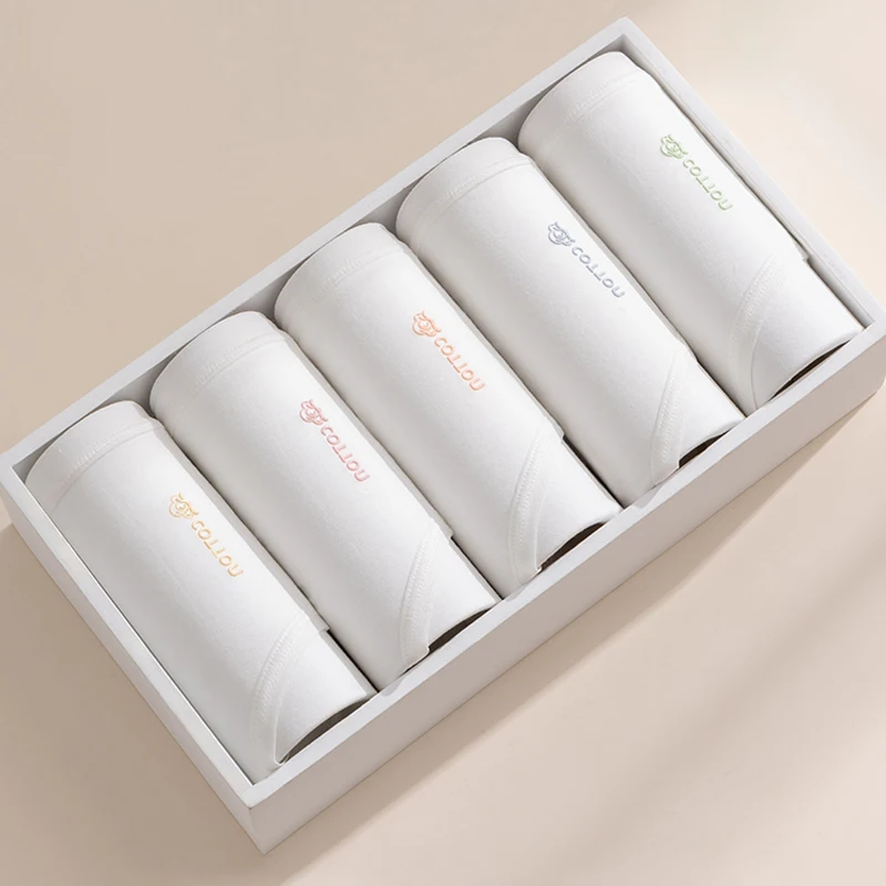 Set di 5 Mutandine in Cotone per Donna, Biancheria Intima Sexy, Slip Bianchi per Ragazze, Morbidi e Traspiranti, Vita Media, Lingerie Femminile