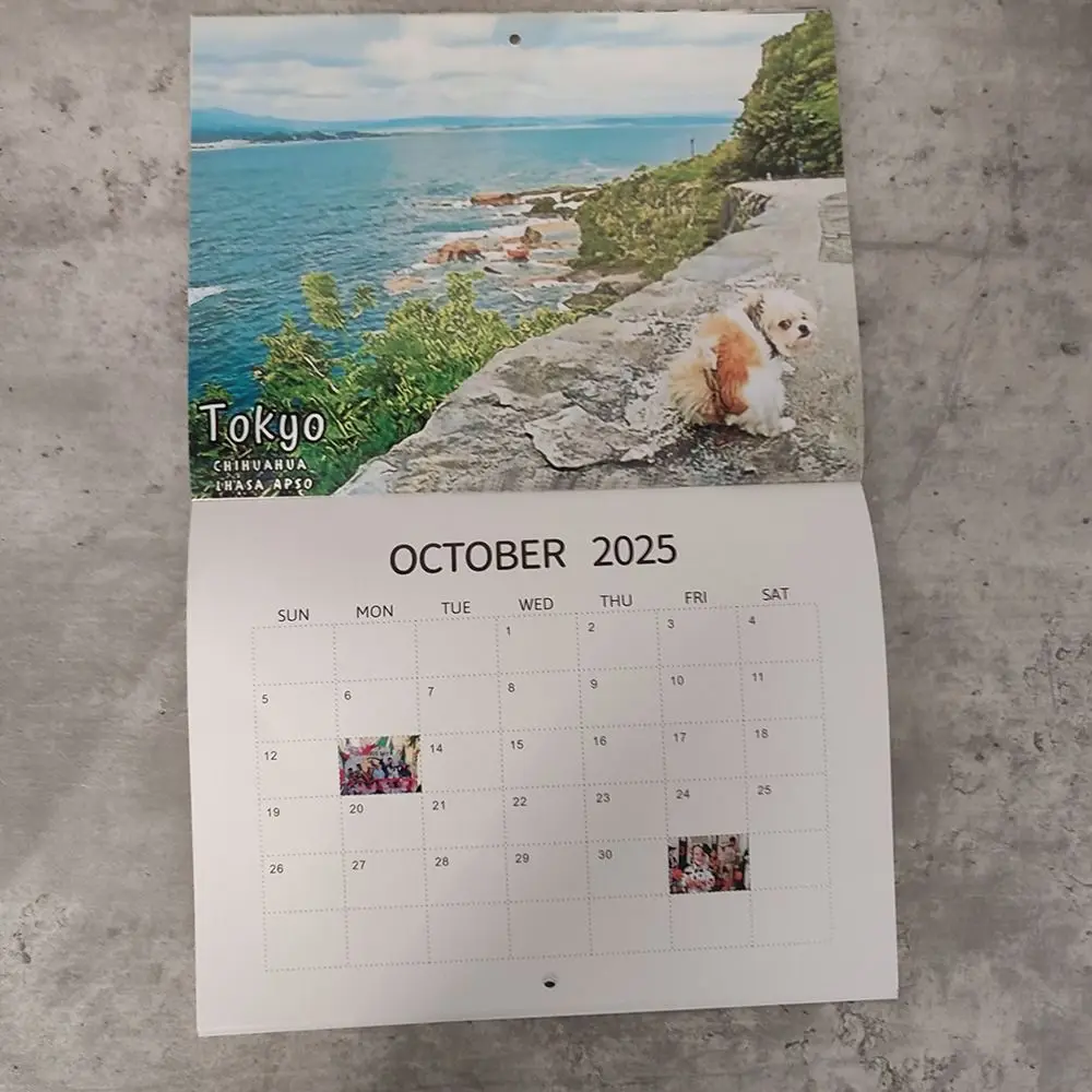 High Quality Daily Weekly Monthly Planner 2025 Calendar Hangable Dogs Pooping Wall Calendar Paper Desktop Calendar Gift