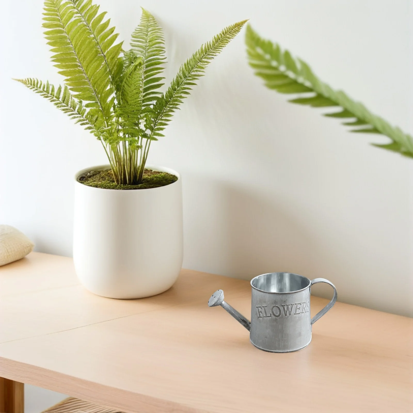 

2Pcs Sprinkled Nozzle Watering Can Vintage Iron Kettle for Home Garden Bedroom Plants Decorative Farmhouse Vase