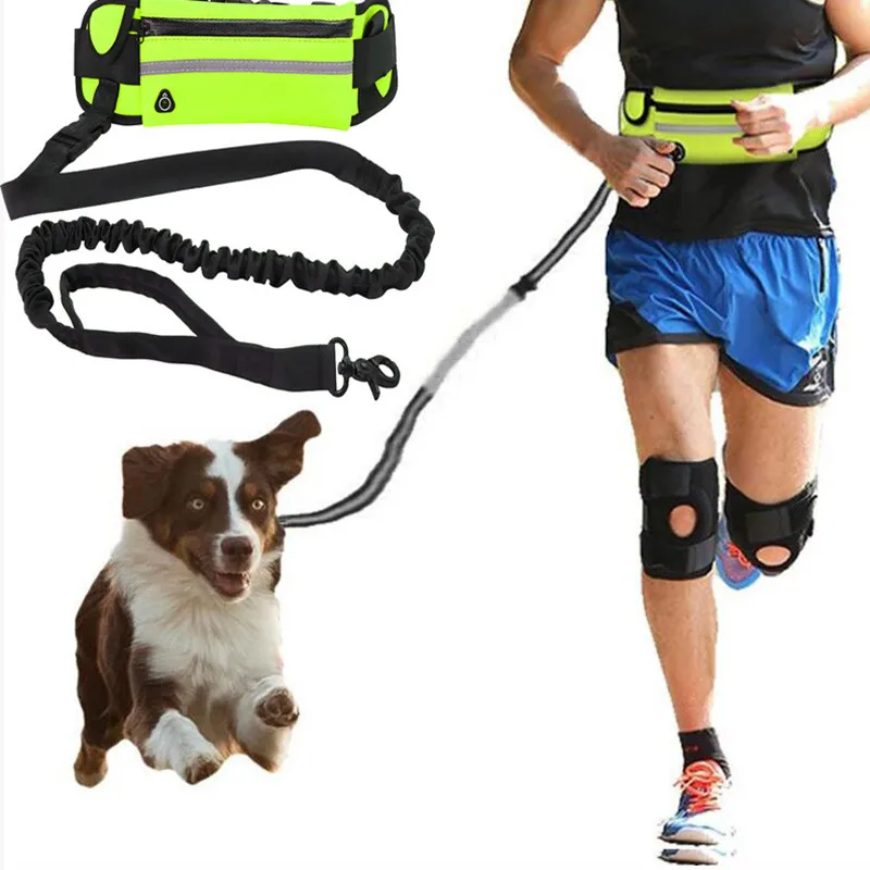 Dog Traction Rope Free hands Dog Leash with Waist Bag Pull dog Running Retractable ElasticBelt Reflective Harnesses Dog supplies