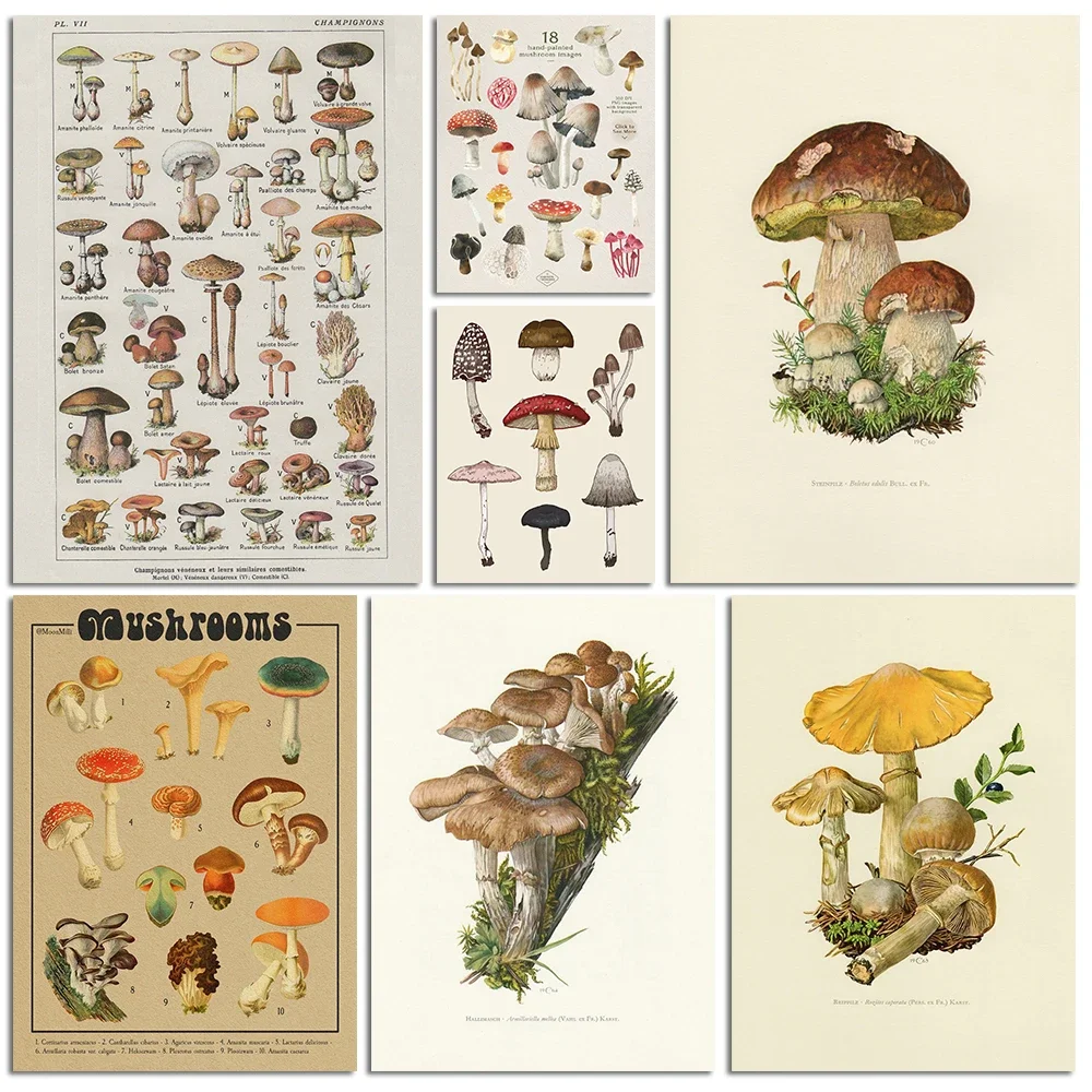 Vintage Plants Mushroom Poster Print Antique Wall Art Print Botanical Picture Science Poster canvas painting Home Decor