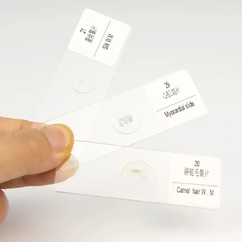 30PCS/Set Biological Glass Sample Prepared Basic Tissues Science Cover Slips Portable Microscope Slides Educational Samples